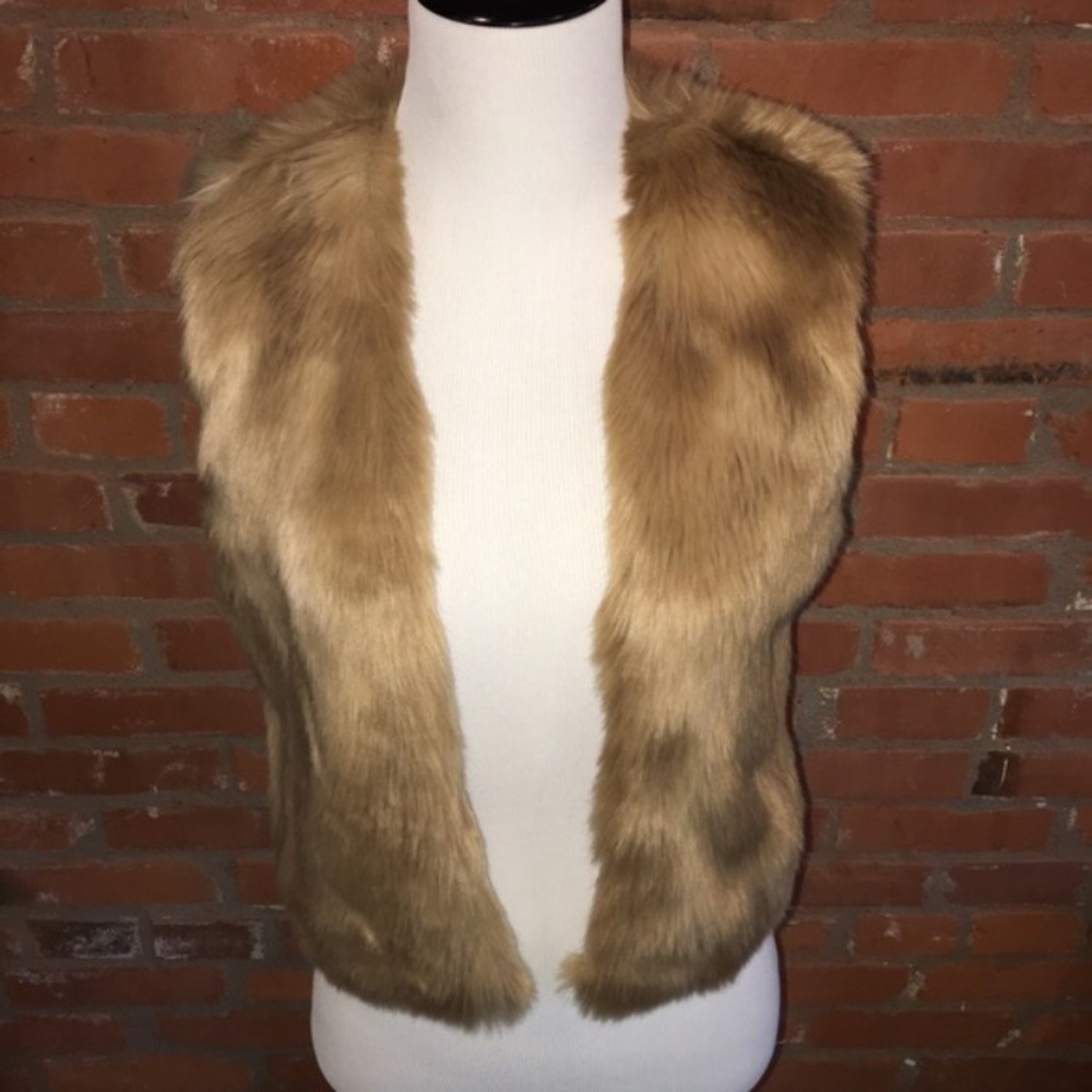 FUR VEST FROM THE LIMITED